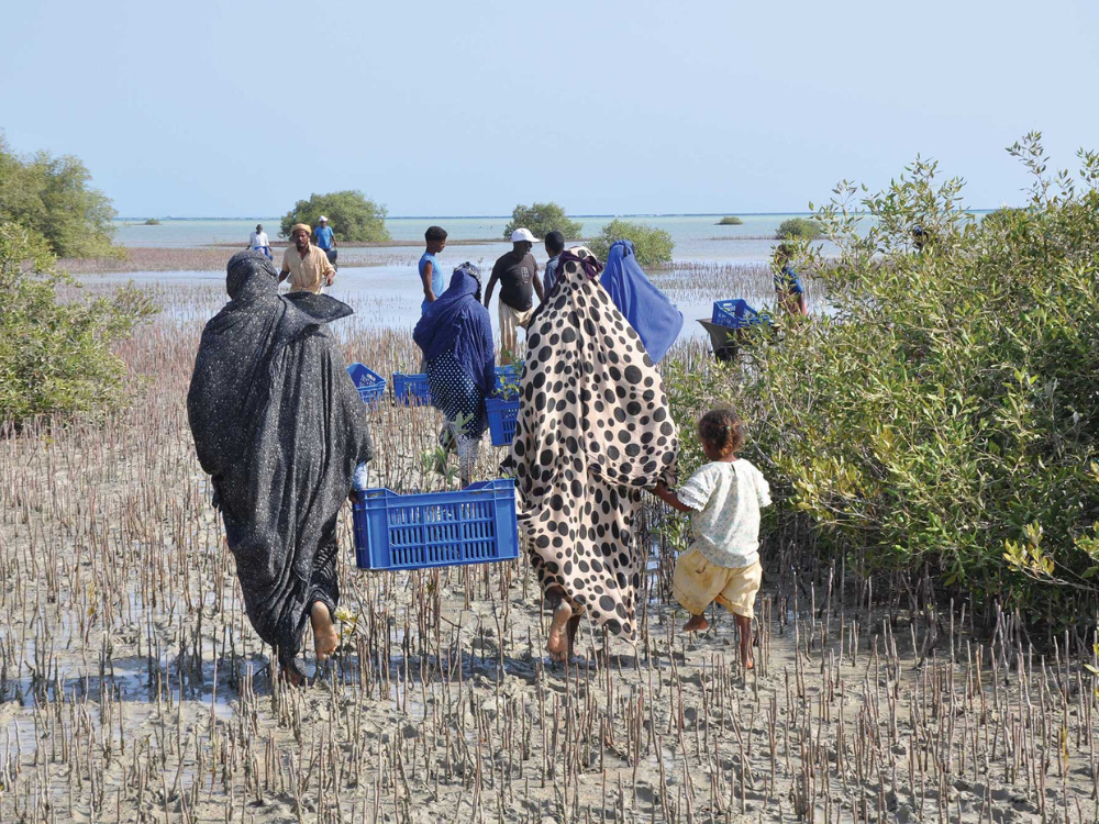 43 Rectangle Newsletter (4).png