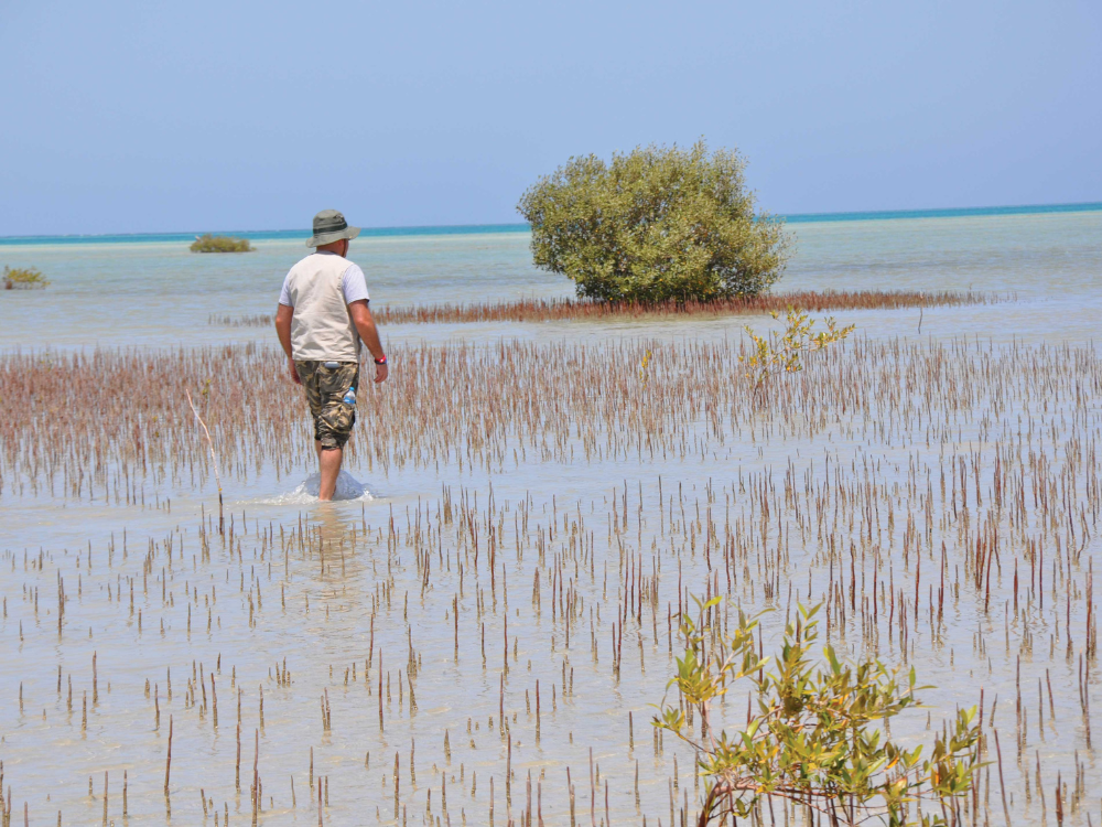 43 Rectangle Newsletter (5).png