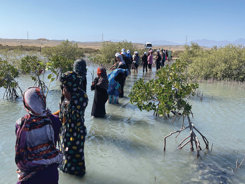 43 Rectangle Newsletter (6).png