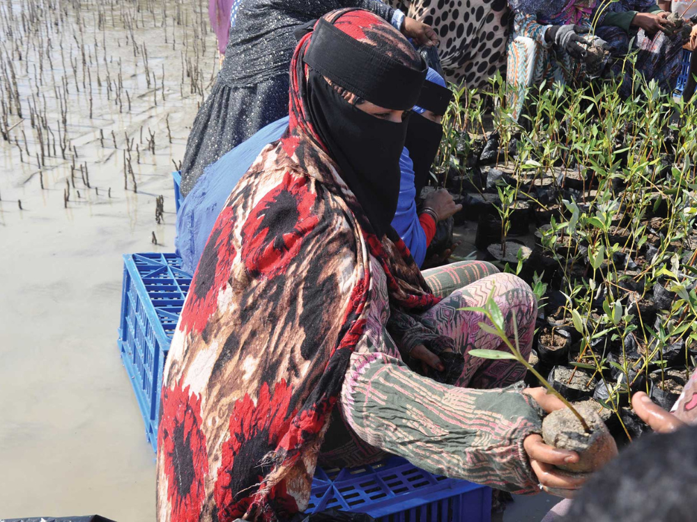 43 Rectangle Newsletter (8).png