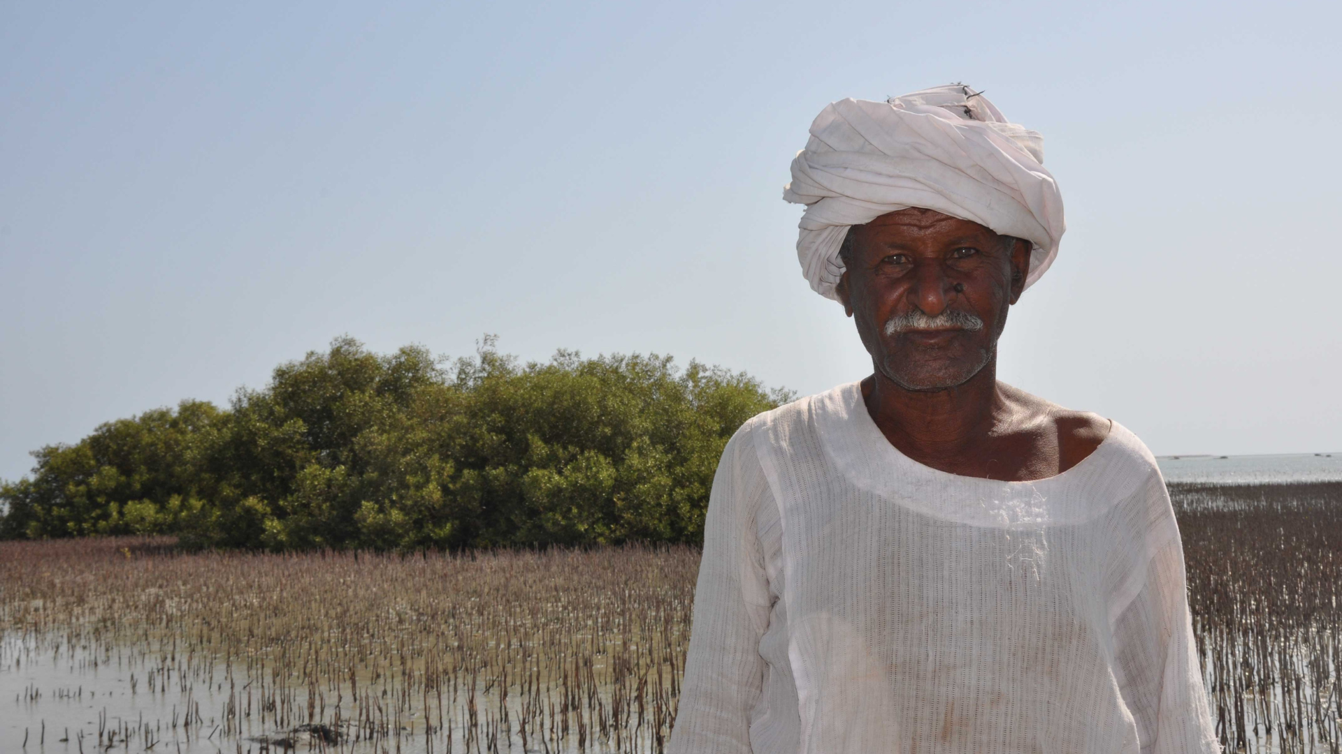 Local man standing in front of the mangrove feilds