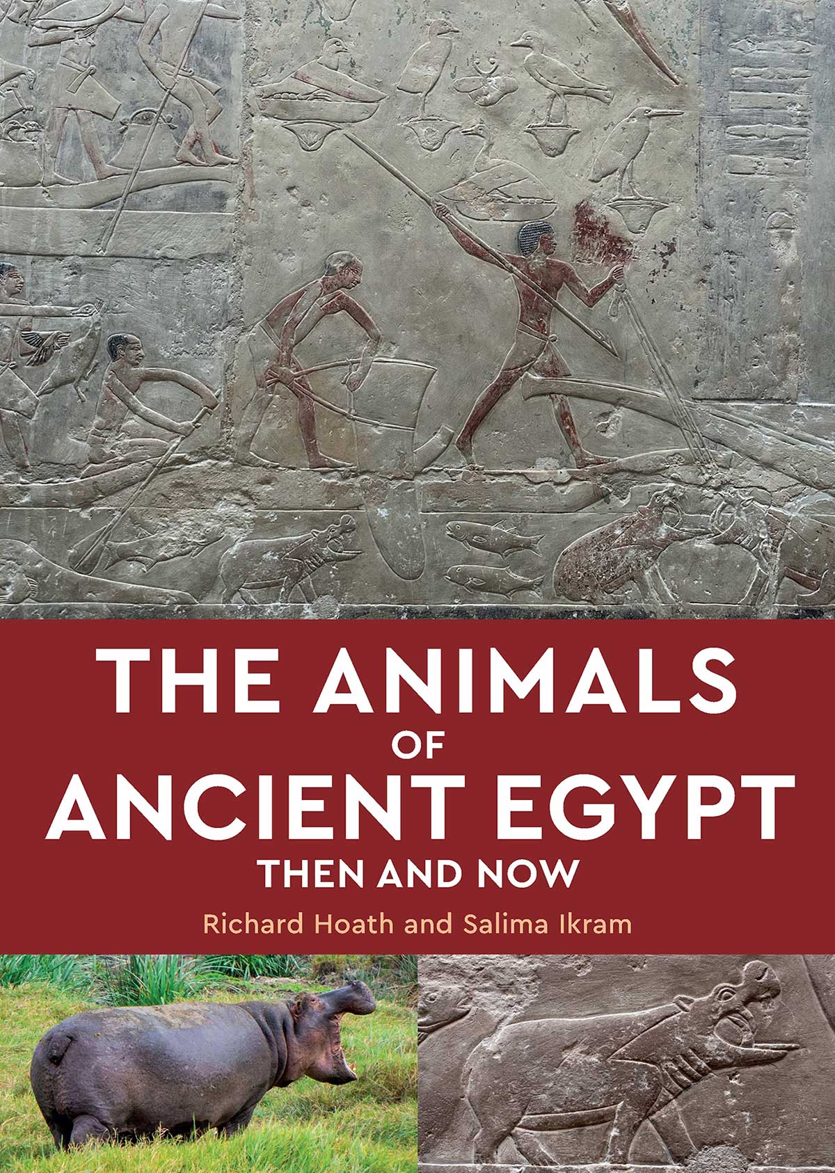 The Animals of Ancient Egypt Then and Now