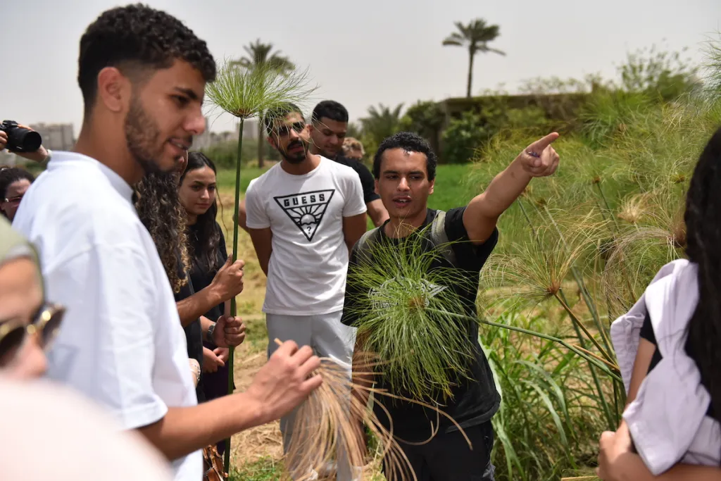 students inspect a papyrus plant