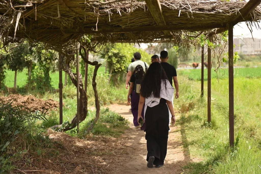 Young people walk away in a line among greenery