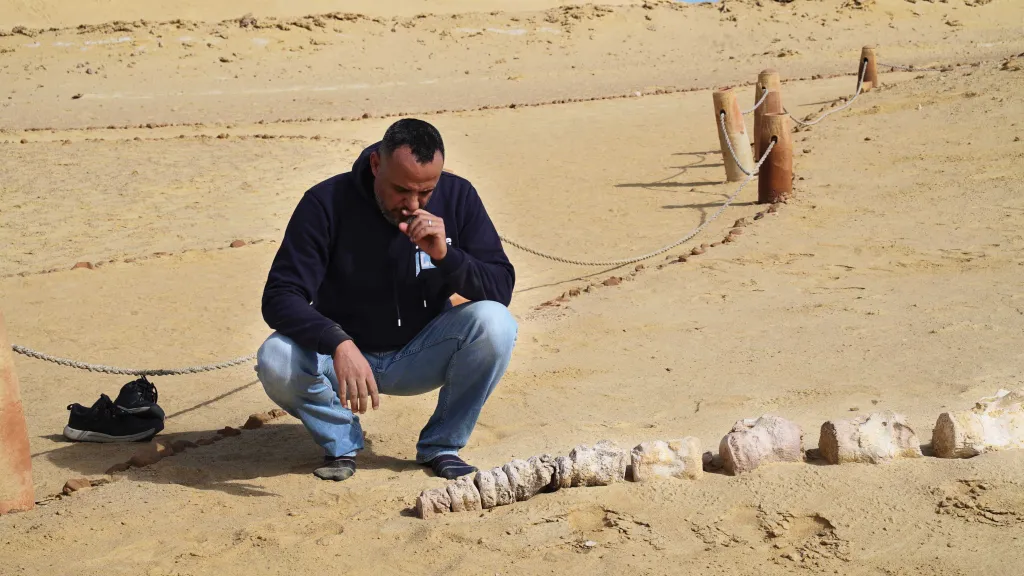 Hesham Sallam squats in the desert over whale bones